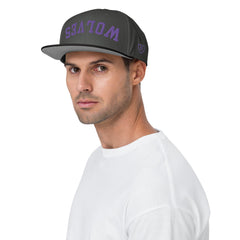 Wolves baseball embroidered snapback